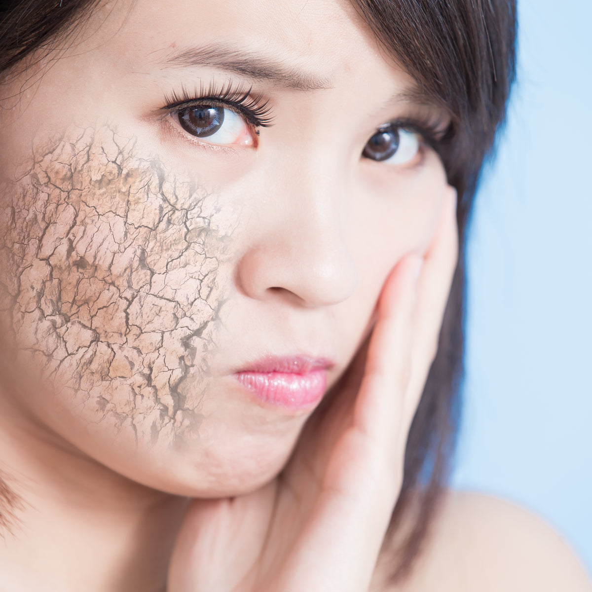 So many variables can impact the barrier of your skin, we aim to explain.